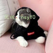 Ҿ